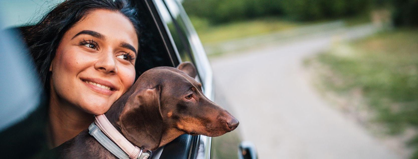 A Patelco member and her dog look out a car window.